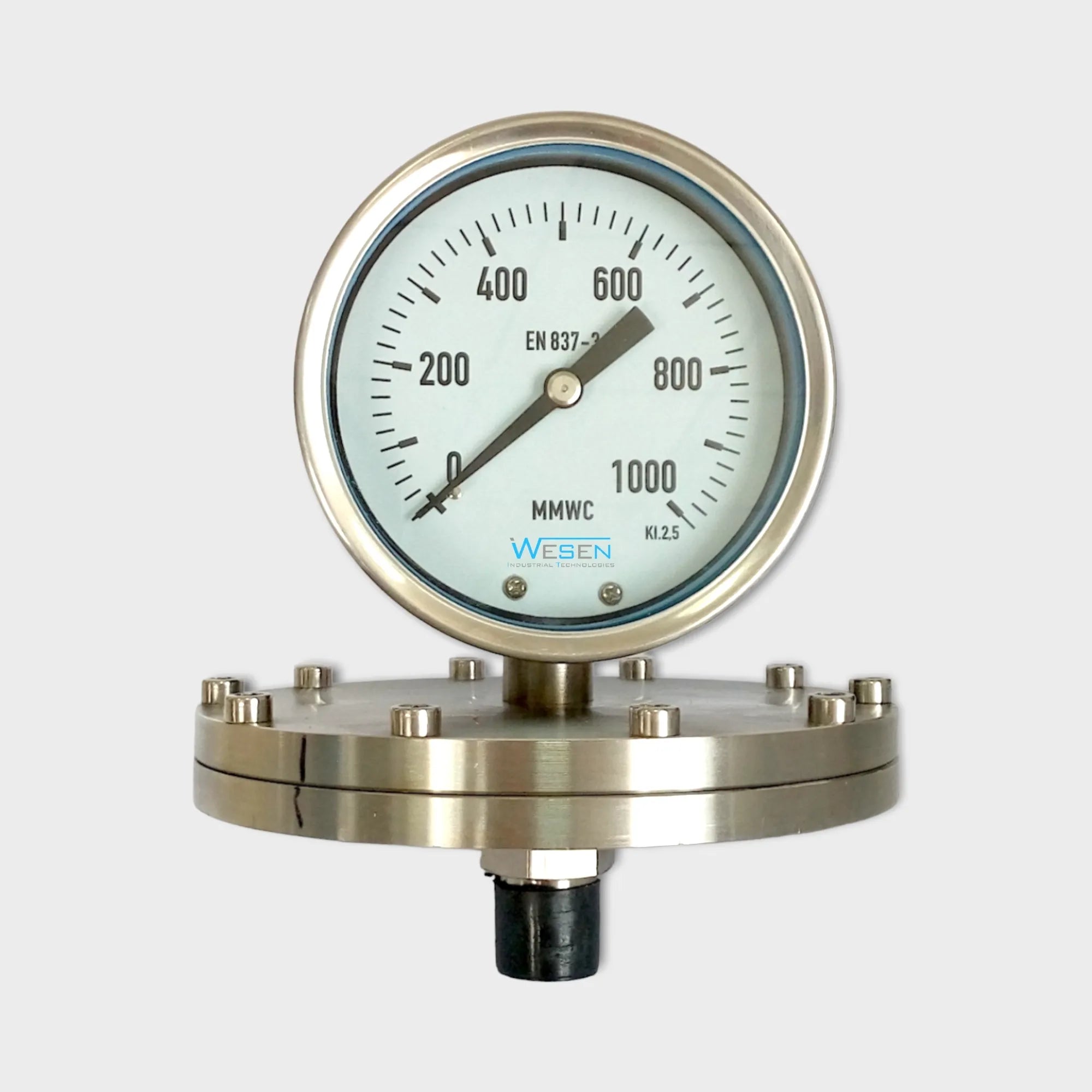 Pressure Gauge with Diaphragm Seal WESEN